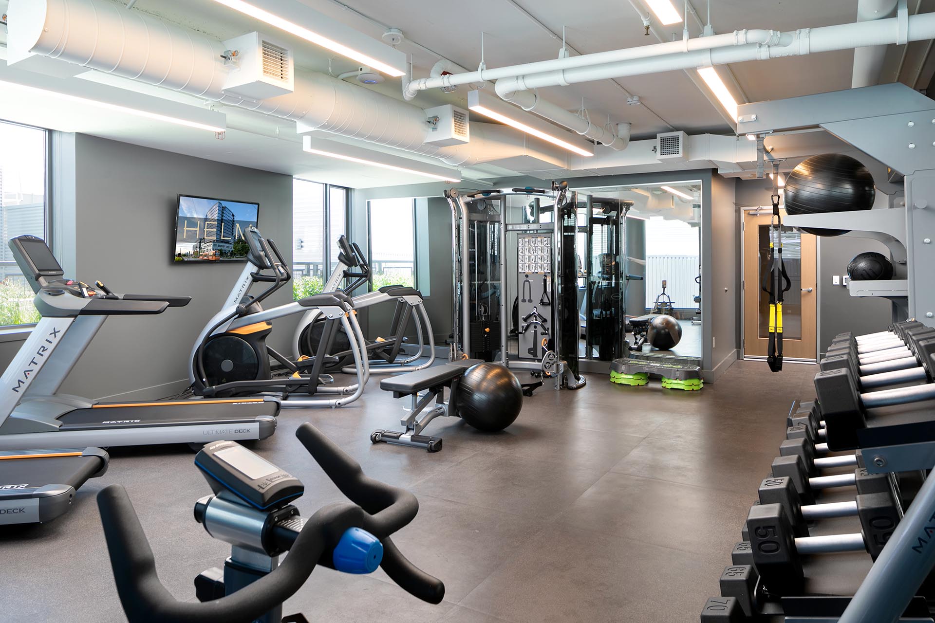 An excercise room filled with elipticals, treadmills, weights and a veriety of other gym equipment