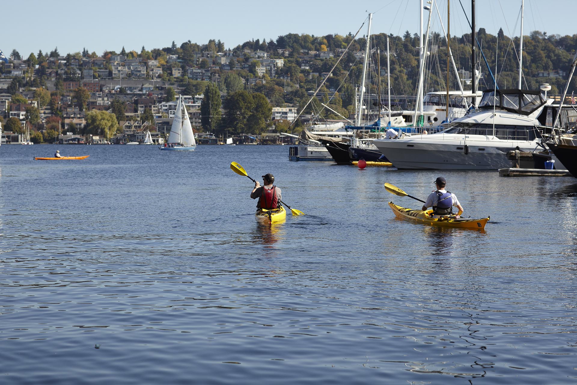 A pair of kayakers gliding past a flank of moored boats in the lake, with the city line in the background